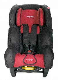   RECARO Young Expert (. Bellini punched Cherry)