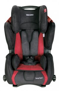   RECARO () Young SPORT (. Bellini punched Cherry)
